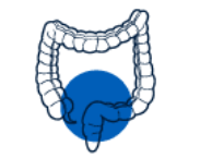 Chirurgie viscérale et digestive